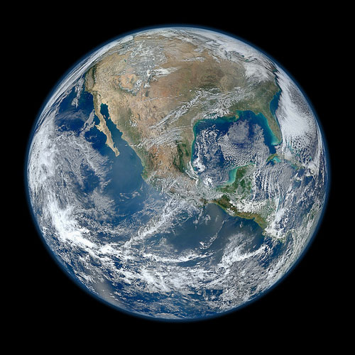 Picture 1 of Stink ever dominated the earth
