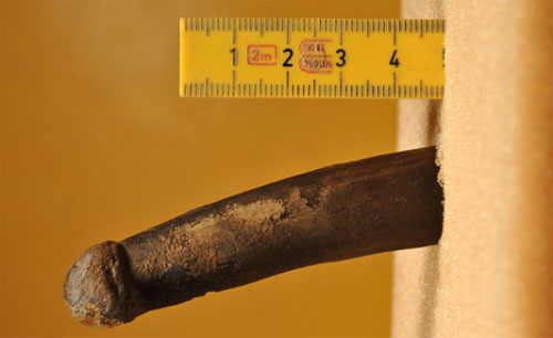 Picture 1 of Stone Age 'sex toys'
