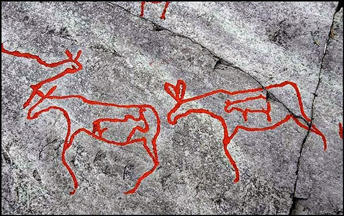 Picture 10 of Stone carvings in Alta - Norway