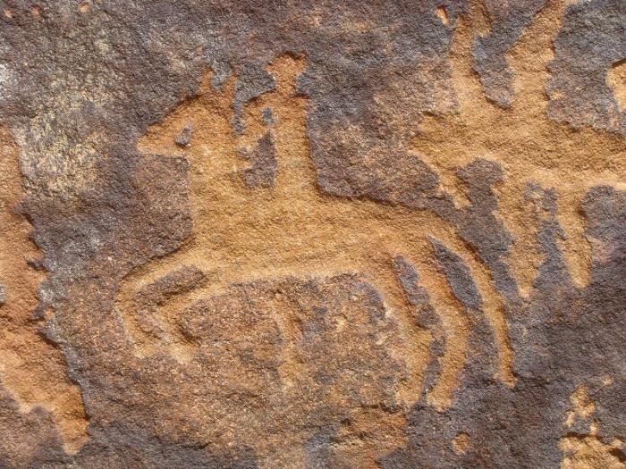Picture 8 of Stone carvings in the Altai range