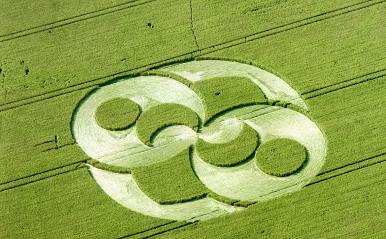 Picture 2 of Stone deciphered the event that aliens landed on Earth?