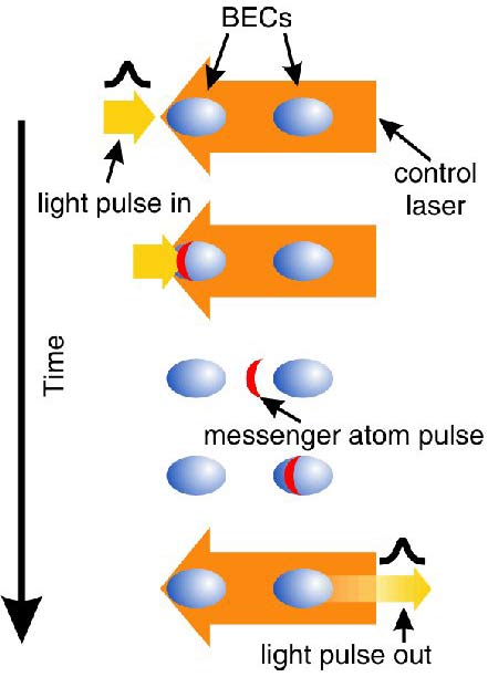 Picture 2 of Storage techniques and light recovery