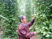 Picture 1 of Story of a 'farmer's farmer'