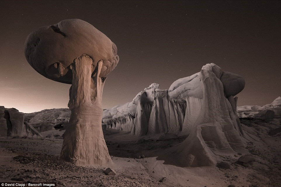 Picture 1 of Strange beauty in the desert of America