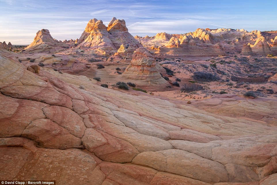 Picture 11 of Strange beauty in the desert of America