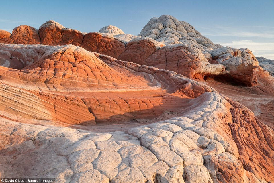 Picture 14 of Strange beauty in the desert of America