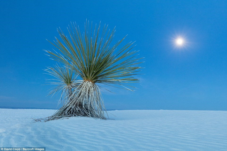 Picture 17 of Strange beauty in the desert of America
