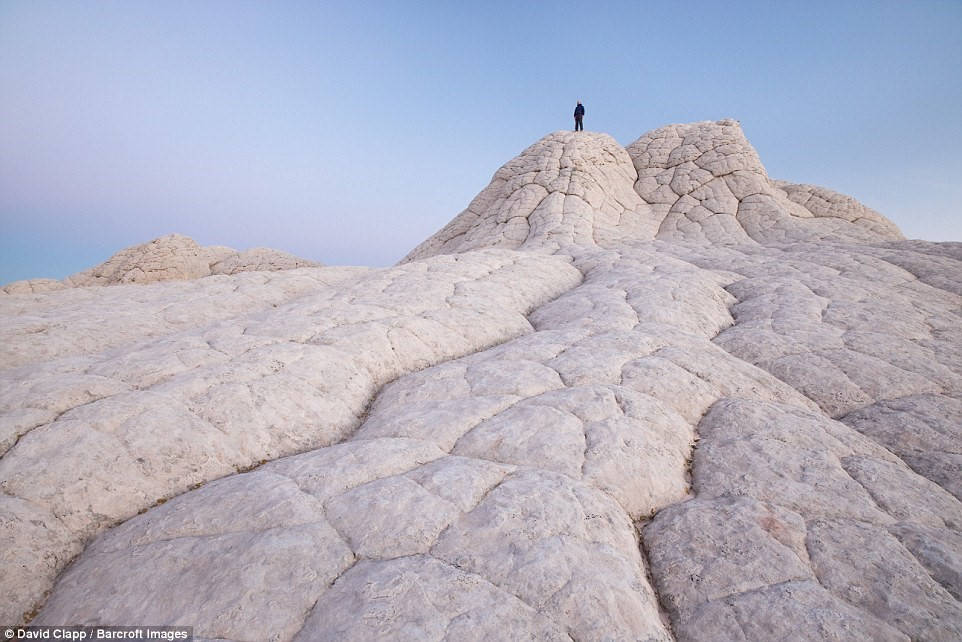 Picture 2 of Strange beauty in the desert of America