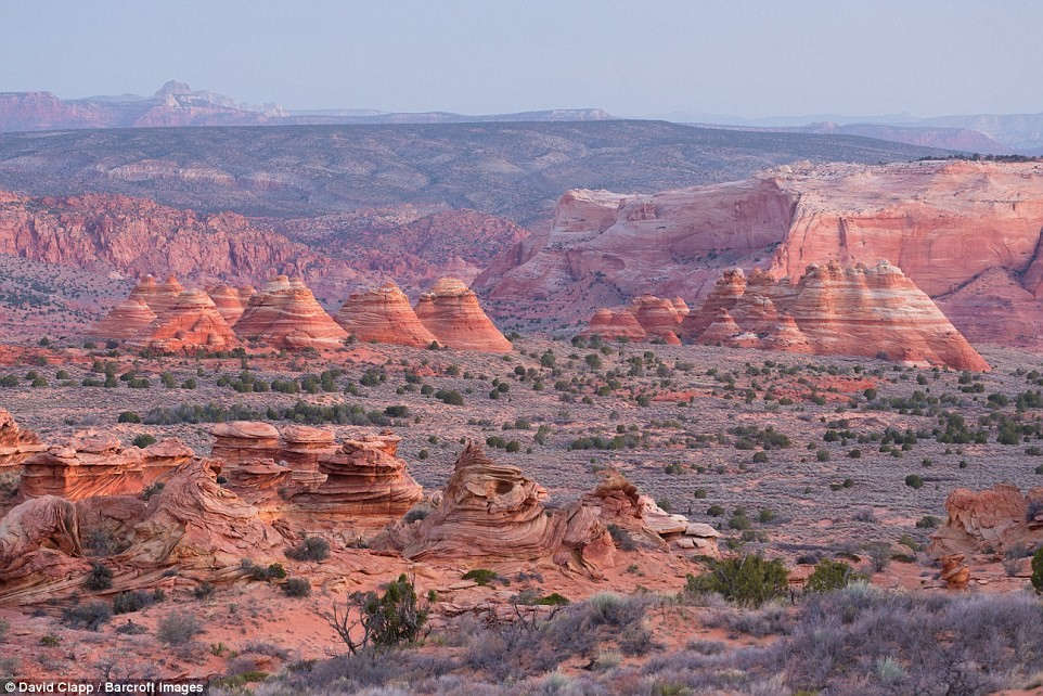 Picture 7 of Strange beauty in the desert of America