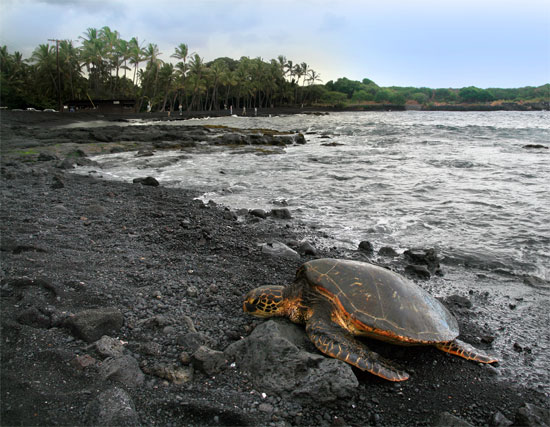Picture 9 of Strange beauty of 'unique' beaches