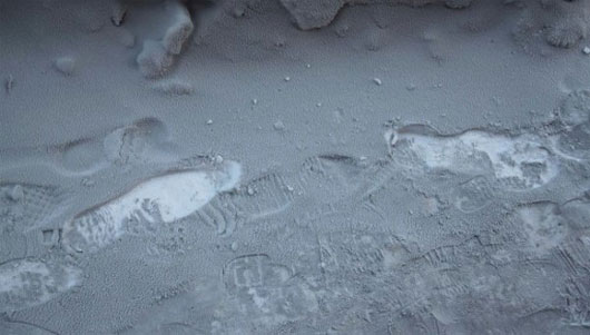 Picture 1 of Strange black snow in Siberia