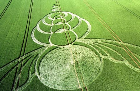 Picture 2 of Strange circles in England
