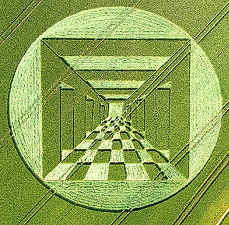 Picture 4 of Strange circles in England