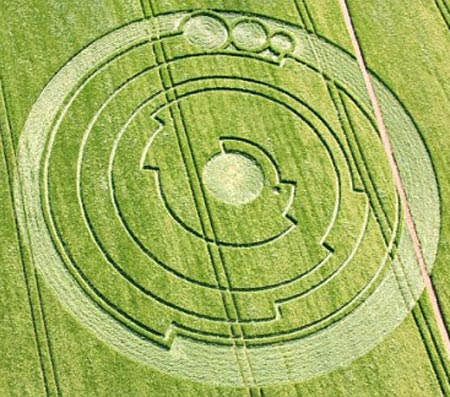 Picture 5 of Strange circles in England
