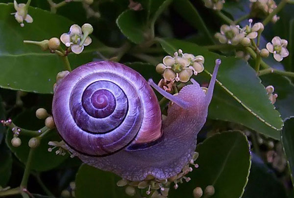 Picture 24 of Strange color beautiful creatures