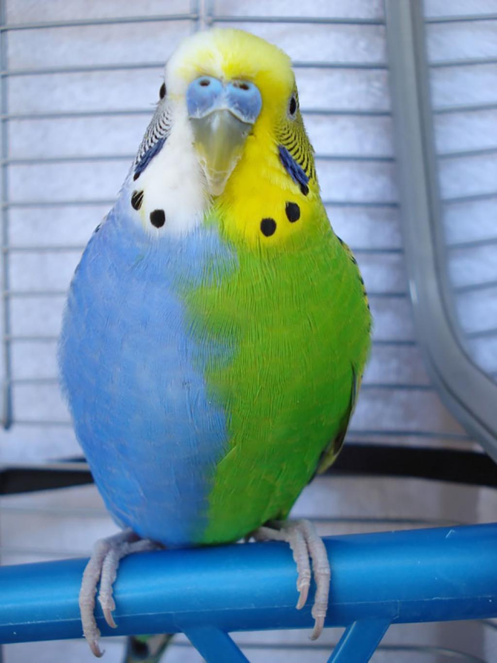 Picture 8 of Strange color beautiful creatures