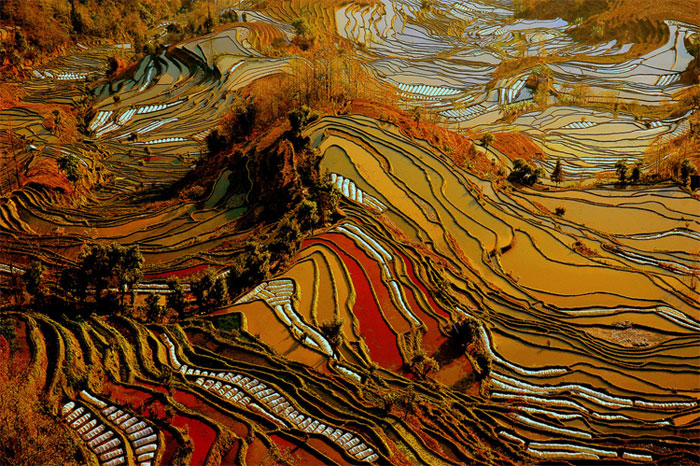Picture 7 of Strange colorful terraced fields in Yunnan