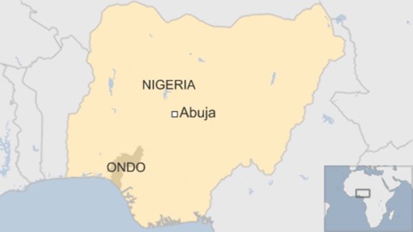 Picture 1 of 'Strange disease' Is killing in Nigeria a herbicide?
