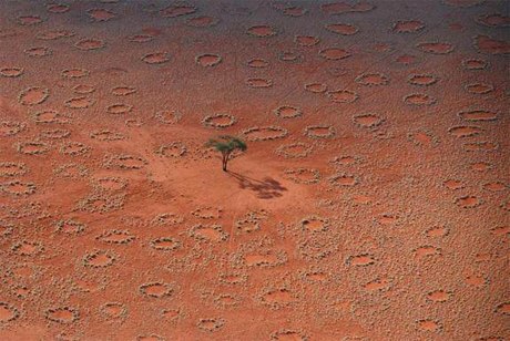 Picture 3 of Strange drawings on the desert