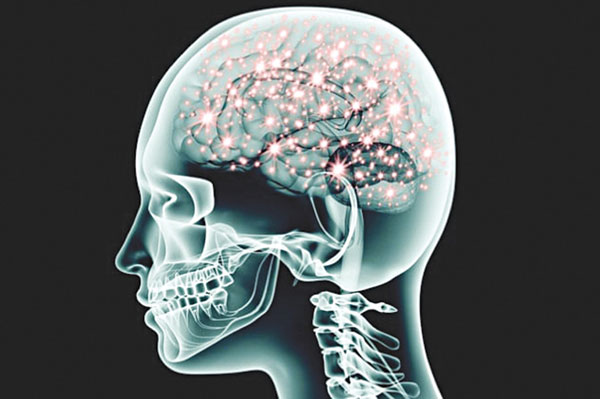 Picture 4 of Strange effects of magic mushrooms on the human brain