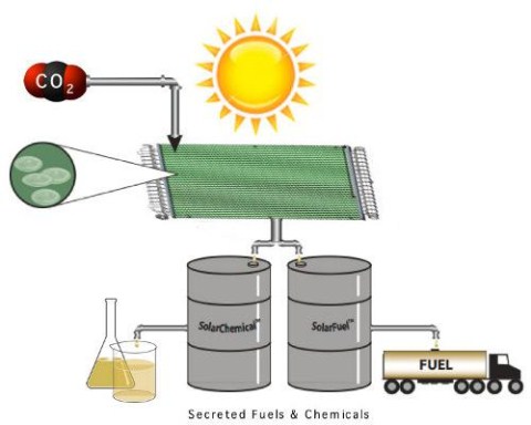 Picture 5 of Strange energy sources