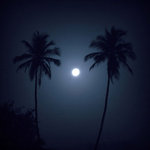 Picture 7 of Strange facts about Super Moon