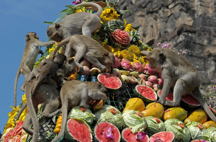 Picture 8 of Strange festivals but attract customers all over the planet