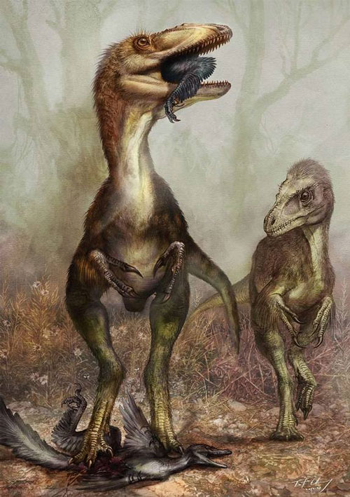 Picture 1 of Strange fossil inside dinosaur belly