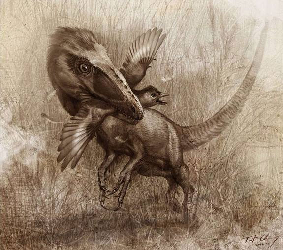 Picture 2 of Strange fossil inside dinosaur belly