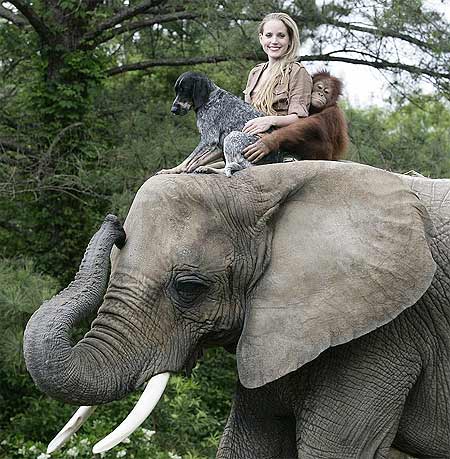 Picture 2 of Strange friendship between dogs and orangutans
