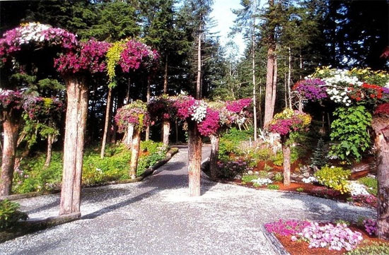 Picture 1 of Strange garden upside down in America