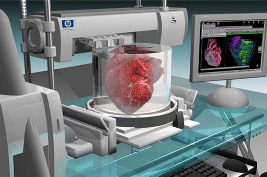 Picture 2 of Strange: Human kidney printing machine