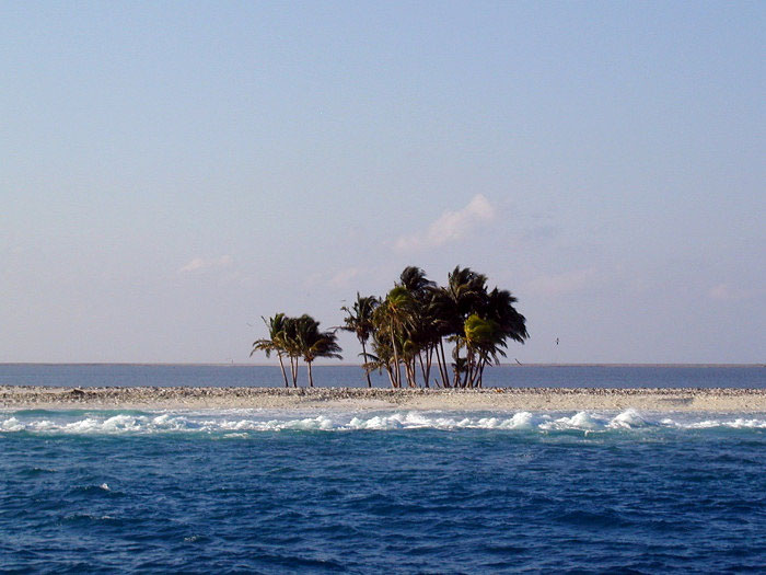 Picture 1 of Strange island researcher off the coast of Mexico