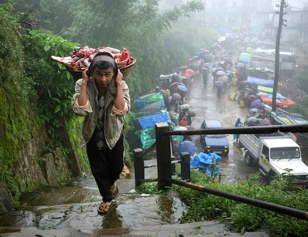 Picture 10 of Strange life in the 'wettest place in the world'
