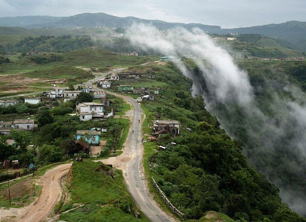 Picture 4 of Strange life in the 'wettest place in the world'