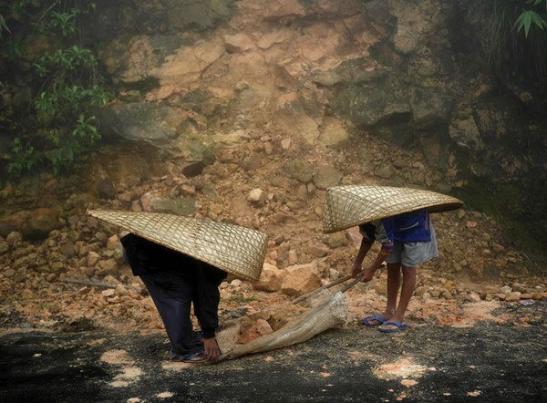 Picture 6 of Strange life in the 'wettest place in the world'