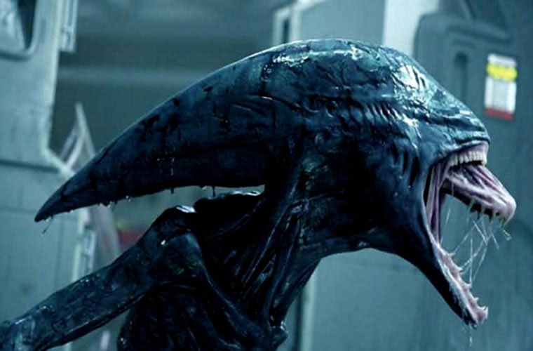 Picture 5 of Strange method of contacting aliens