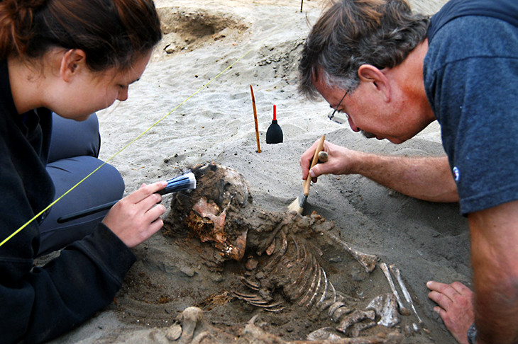 Picture 3 of Strange minerals form on the remains and make the bones green