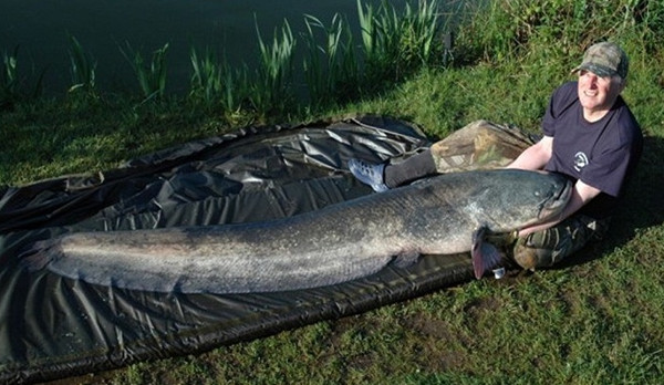 Picture 3 of Strange 'monsters' once threatened the British people