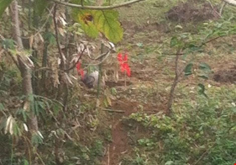 Picture 4 of Strange objects fell in Tuyen Quang and Yen Bai
