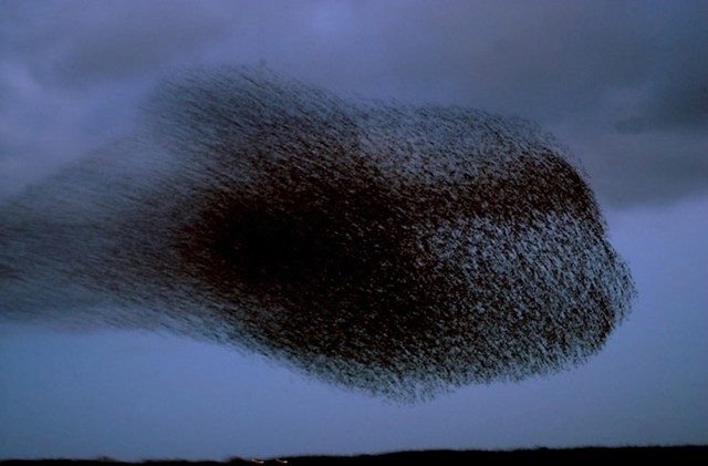 Picture 6 of Strange phenomena appear in the sky