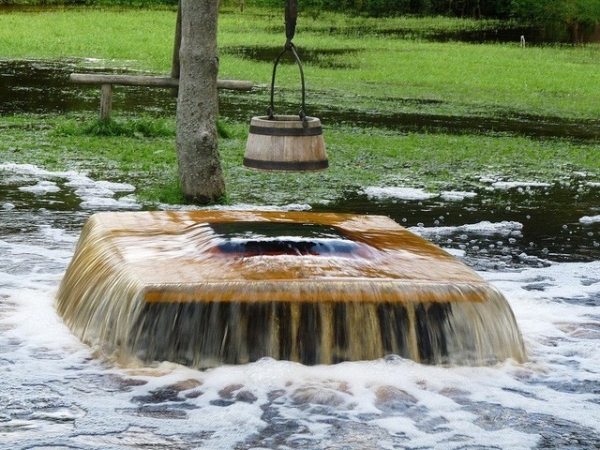 Picture 2 of Strange phenomenon: Ancient trees know how to flush water like ... nozzle