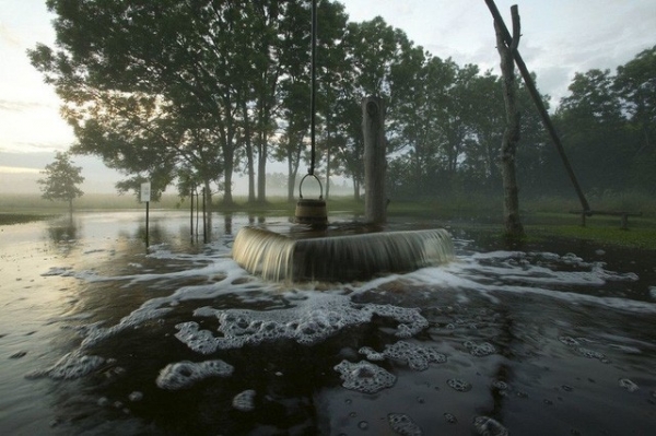 Picture 3 of Strange phenomenon: Ancient trees know how to flush water like ... nozzle