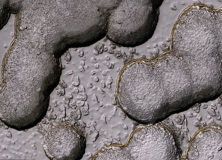 Picture 1 of Strange shapes on Mars