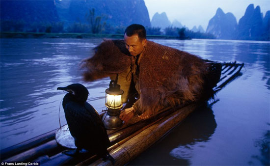 Picture 6 of Strange sight of fishermen by ... cormorants