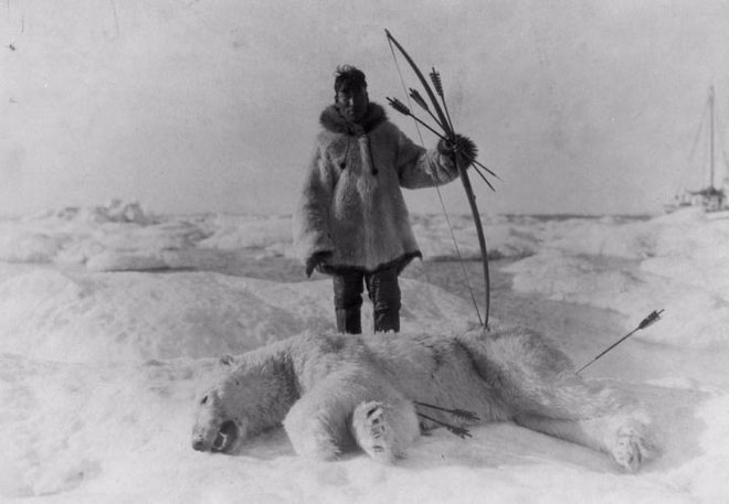 Picture 2 of Strange story in Antarctica, eating animal liver can lead to death