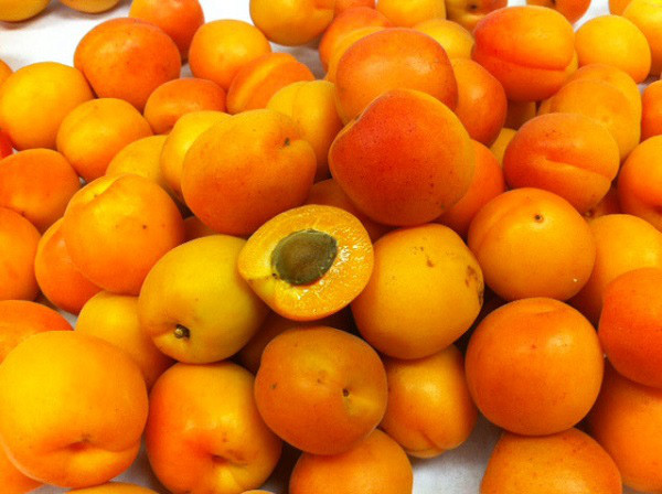 Picture 6 of Strange 'super products' by Burbank plant masters