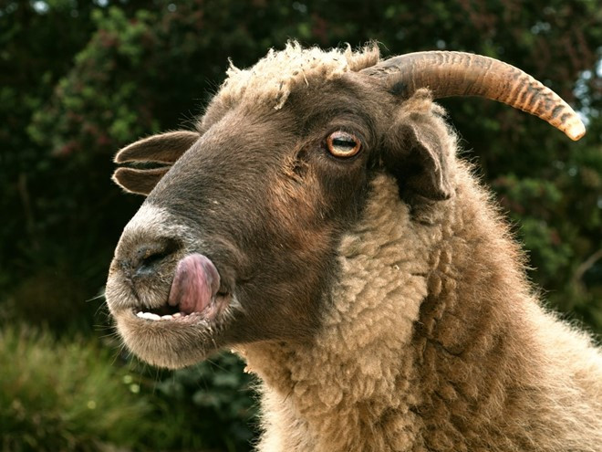 Picture 4 of Strange superstitions in the world