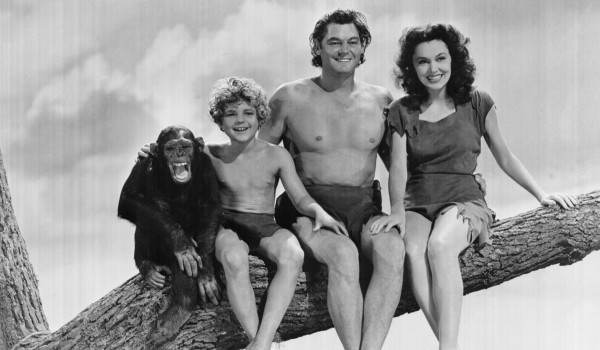 Picture 3 of Strange things about monkeys