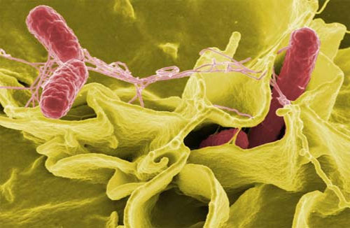 Picture 3 of Strange things in the universe